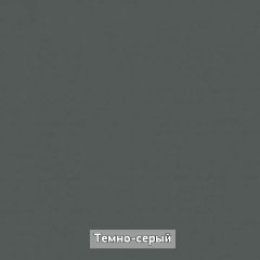 ОЛЬГА-ЛОФТ 10.1 Шкаф-купе без зеркала в Агрызе - agryz.mebel24.online | фото 6