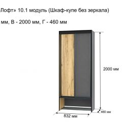 ОЛЬГА-ЛОФТ 10.1 Шкаф-купе без зеркала в Агрызе - agryz.mebel24.online | фото 3