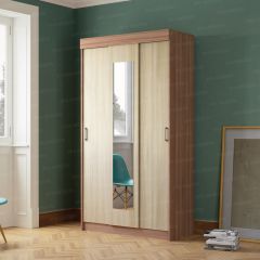 Шкаф-купе Эко (ЭРА) в Агрызе - agryz.mebel24.online | фото 2