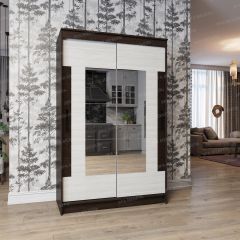 Шкаф - купе Элегант 2 в Агрызе - agryz.mebel24.online | фото
