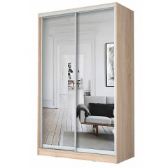 Шкаф-купе ХИТ 22-12-55 (620) в Агрызе - agryz.mebel24.online | фото 5