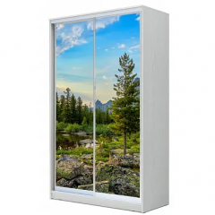 Шкаф-купе ХИТ 22-14-77 (620) в Агрызе - agryz.mebel24.online | фото 5
