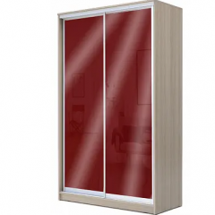 Шкаф-купе ХИТ 22-17-22 (620) в Агрызе - agryz.mebel24.online | фото 8