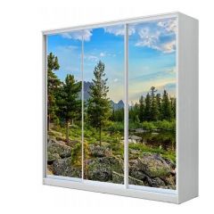 Шкаф-купе ХИТ 22-18-777 (620) в Агрызе - agryz.mebel24.online | фото