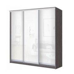Шкаф-купе ХИТ 22-20/2-888 (620) в Агрызе - agryz.mebel24.online | фото 9
