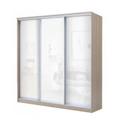 Шкаф-купе ХИТ 22-20-888 (620) в Агрызе - agryz.mebel24.online | фото 7