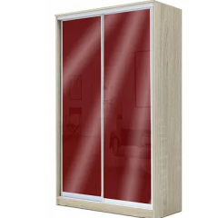 Шкаф-купе ХИТ 22-4-12/2-22 (420) в Агрызе - agryz.mebel24.online | фото 8