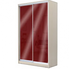 Шкаф-купе ХИТ 22-4-12/2-22 (420) в Агрызе - agryz.mebel24.online | фото 9