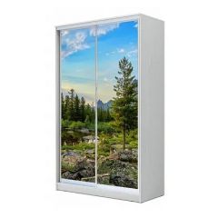 Шкаф-купе ХИТ 23-12-77 (620) в Агрызе - agryz.mebel24.online | фото