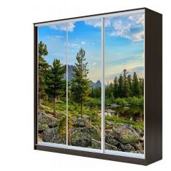 Шкаф-купе ХИТ 23-4-18-777 (420) в Агрызе - agryz.mebel24.online | фото 1