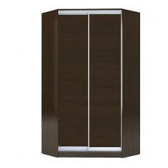 Шкаф-купе ХИТ-У-22-4-11 в Агрызе - agryz.mebel24.online | фото 10