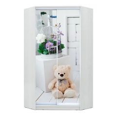 Шкаф-купе ХИТ-У-23-4-77 в Агрызе - agryz.mebel24.online | фото