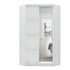 Шкаф-купе ХИТ-У-L-24-64-15 в Агрызе - agryz.mebel24.online | фото
