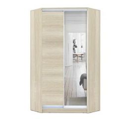 Шкаф-купе ХИТ-У-L-24-64-15 в Агрызе - agryz.mebel24.online | фото 8