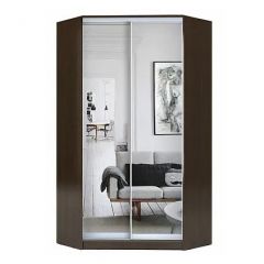 Шкаф-купе ХИТ-У-R-23-64-55 в Агрызе - agryz.mebel24.online | фото 1