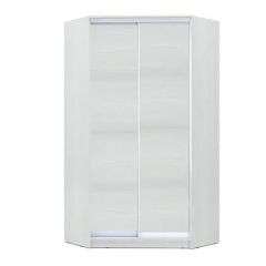 Шкаф-купе ХИТ-У-R-24-64-11 в Агрызе - agryz.mebel24.online | фото