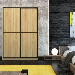 Шкаф-купе Лофт 1600 Шк16-47 (Дуб Сонома) в Агрызе - agryz.mebel24.online | фото