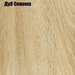 Шкаф-купе Лофт 2000 Шк20-60 (Дуб Сонома) в Агрызе - agryz.mebel24.online | фото 4