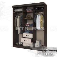 Шкаф-купе Маэстро (Венге/Лоредо) в Агрызе - agryz.mebel24.online | фото 5
