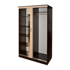 Шкаф-купе ПШ-1.2 М 1148 в Агрызе - agryz.mebel24.online | фото 2