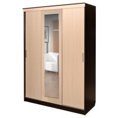Шкаф-купе ПШ-1.3 М 1630 в Агрызе - agryz.mebel24.online | фото