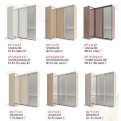 Шкаф-купе "Удачный" угловой ОУ-У 12-6-1 (белый) в Агрызе - agryz.mebel24.online | фото 2