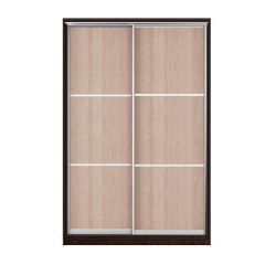 Шкаф-купе Рене 1500 вариант 7 (Тройной ЛДСП/Тройной ЛДСП) в Агрызе - agryz.mebel24.online | фото