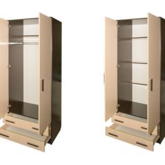 Шкаф распашной ПШ-3.8 в Агрызе - agryz.mebel24.online | фото 2