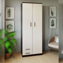 Шкаф распашной ПШ-3.9 в Агрызе - agryz.mebel24.online | фото 3