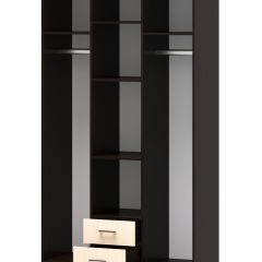 СОФИЯ Шкаф Трио 3-х створчатый с 2-мя ящиками и зеркалом (венге/дуб белфорт) в Агрызе - agryz.mebel24.online | фото 2