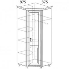 Шкаф угловой №862 "Ралли" (Угол 875*875) в Агрызе - agryz.mebel24.online | фото 2