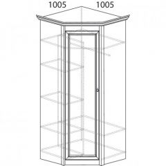 Шкаф угловой №662 "Флоренция" Фасад зеркало (угол 1005*1005) Дуб оксфорд в Агрызе - agryz.mebel24.online | фото 2