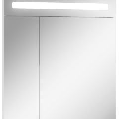 Шкаф-зеркало Аврора 65 с подсветкой LED Домино (DV8006HZ) в Агрызе - agryz.mebel24.online | фото