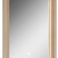 Шкаф-зеркало Nice 45 с подсветкой Домино (DN4704HZ) в Агрызе - agryz.mebel24.online | фото