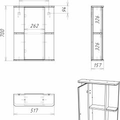 Шкаф-зеркало Норма 2-50 левый АЙСБЕРГ (DA1607HZ) в Агрызе - agryz.mebel24.online | фото 10