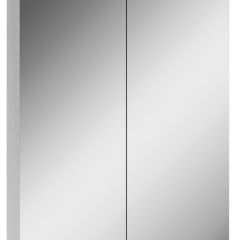 Шкаф-зеркало Норма 50 2 двери АЙСБЕРГ (DA1636HZ) в Агрызе - agryz.mebel24.online | фото 1
