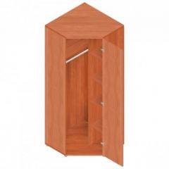 Шкаф для одежды "Референт" Р.Ш-10 в Агрызе - agryz.mebel24.online | фото