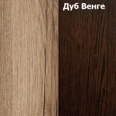 ПРАГА Спальный гарнитур Серия 3 (Дуб Делано/Дуб Венге) в Агрызе - agryz.mebel24.online | фото 2