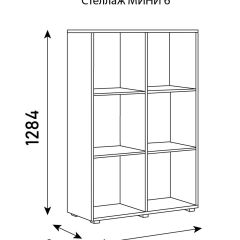 Стеллаж Мини 6 в Агрызе - agryz.mebel24.online | фото 6