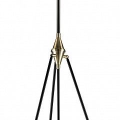 Светильник на штанге Lightstar Modena 816047 в Агрызе - agryz.mebel24.online | фото