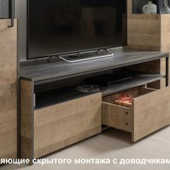 Трувор гостиная (модульная) в Агрызе - agryz.mebel24.online | фото 19