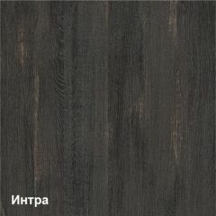 Трувор прихожая (модульная) в Агрызе - agryz.mebel24.online | фото 2