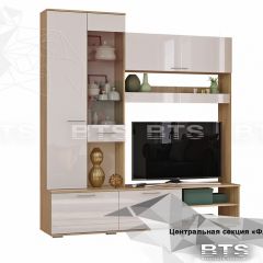 ФЛАЙ Центральная секция ЦС-01 (дуб сонома/белый) в Агрызе - agryz.mebel24.online | фото 2