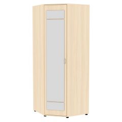 Угловой шкаф с зеркалом "Алиса (H6_M)" ручка скоба в Агрызе - agryz.mebel24.online | фото 9