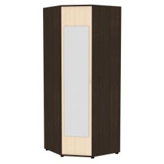 Угловой шкаф с зеркалом "Алиса (H6_M2)" с торцевой ручкой в Агрызе - agryz.mebel24.online | фото 9