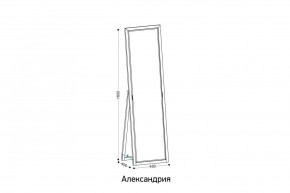 АЛЕКСАНДРИЯ-9.1 Зеркало напольное в Агрызе - agryz.mebel24.online | фото 2
