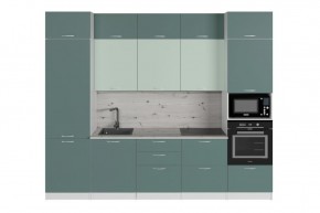 АСАЯ Кухонный гарнитур Экстра (3000 мм) в Агрызе - agryz.mebel24.online | фото 3