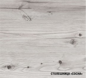 АСАЯ Кухонный гарнитур Экстра (3000 мм) в Агрызе - agryz.mebel24.online | фото 8