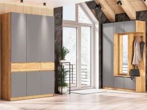 АВИНЬОН Прихожая Вешалка с зеркалом СЕРИЯ 2 в Агрызе - agryz.mebel24.online | фото 4