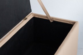 Банкетка-сундук Лонг бежевая в Агрызе - agryz.mebel24.online | фото 3